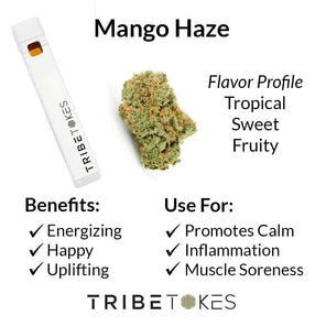 ASTRIA FARM THC-A DISPO 2GRAMS SATIVA