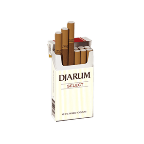 Djarum Select Carton