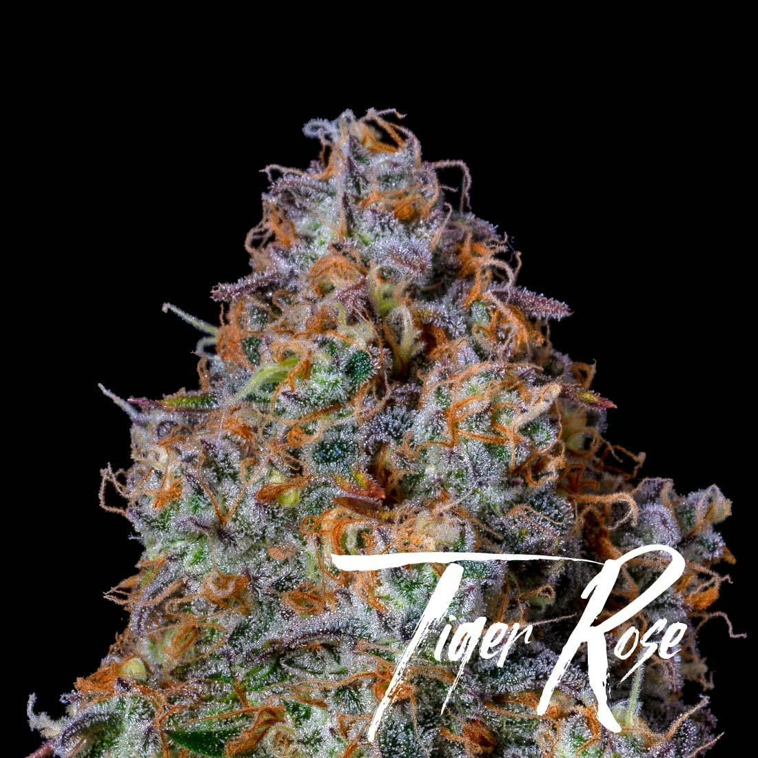 Pre-packaged Flowers THC-A