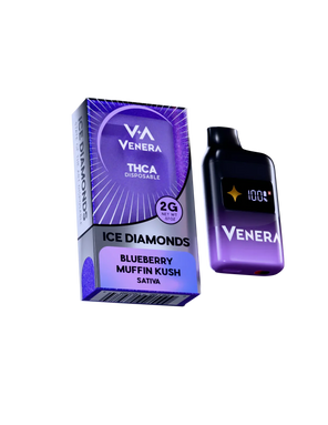Venera 2G