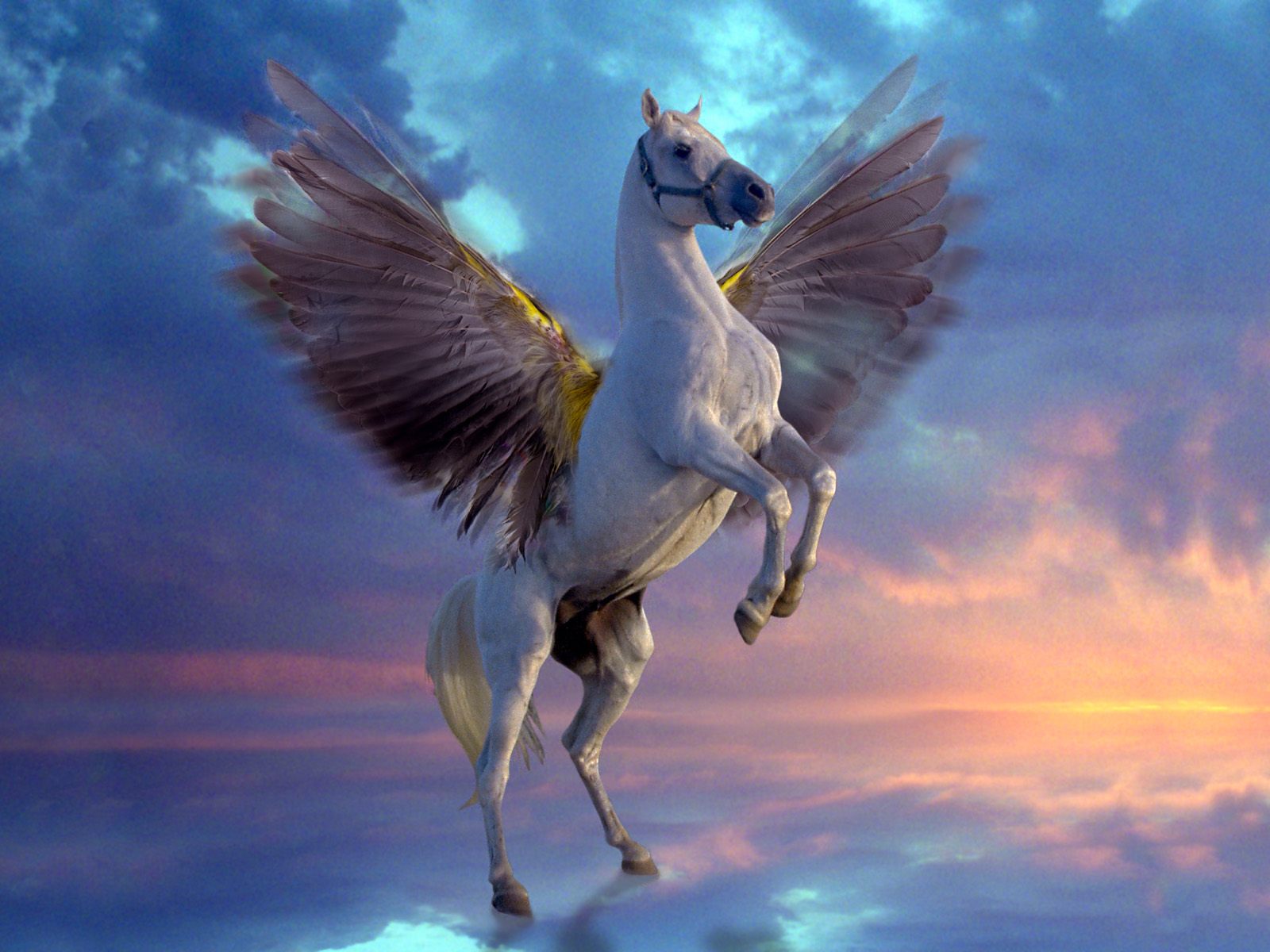 Flying Horse