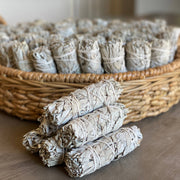 California White Sage