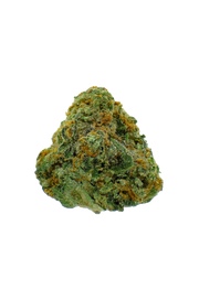 Dutch Blue Dream