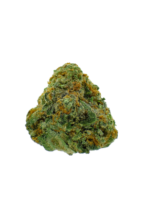 Dutch Blue Dream