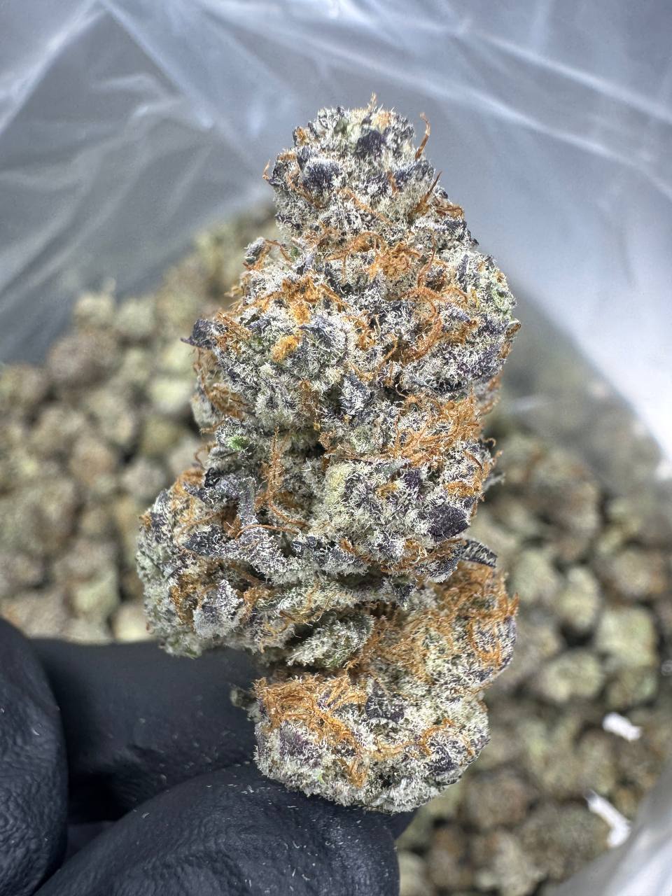 MUFFINS 2 GRAM THC A EXOTIC INDOOR FLOWER