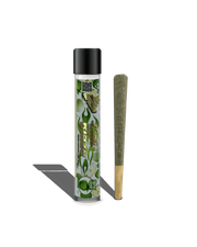 *D8 Green Diamond Category 5 Preroll