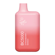 DISPOSABLE EBDESIGN STRAWBERRY MANGO
