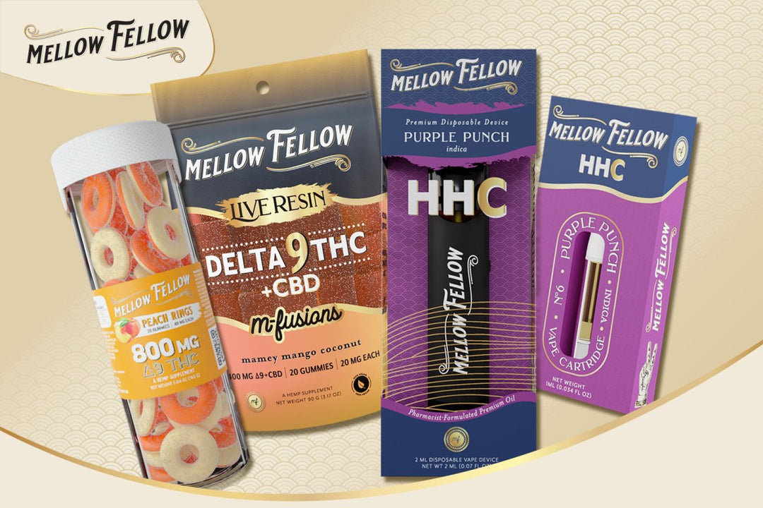 MELLOW FELLOW DISPOSABLE  TANGIE HHC H4CBD