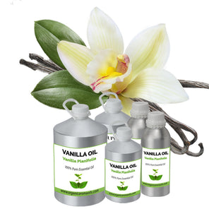 WildlBerry Oils Vanilla