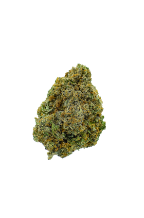White Owl