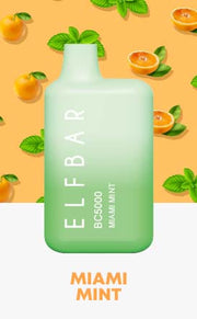 EBDESIGN 5000 MIAMI MINT