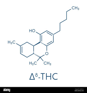 HI DCTANE D8,THC-P 1000MG PER POUCH PR