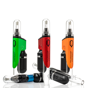 LOOKAH SEAHORSE KING KIT