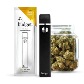 BUDGET 1 GRAM THC A DISPOSABLE