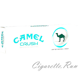 Camel Crush Smooth Silver Carton