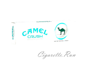 Camel Crush Smooth Silver